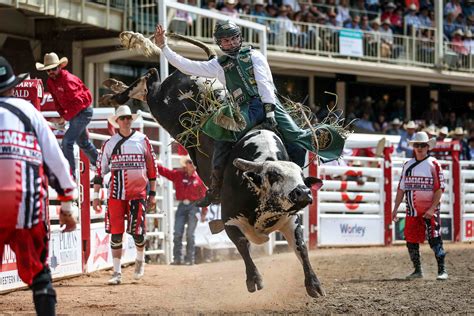 trampede calgary video|2021 Calgary Stampede Parade 